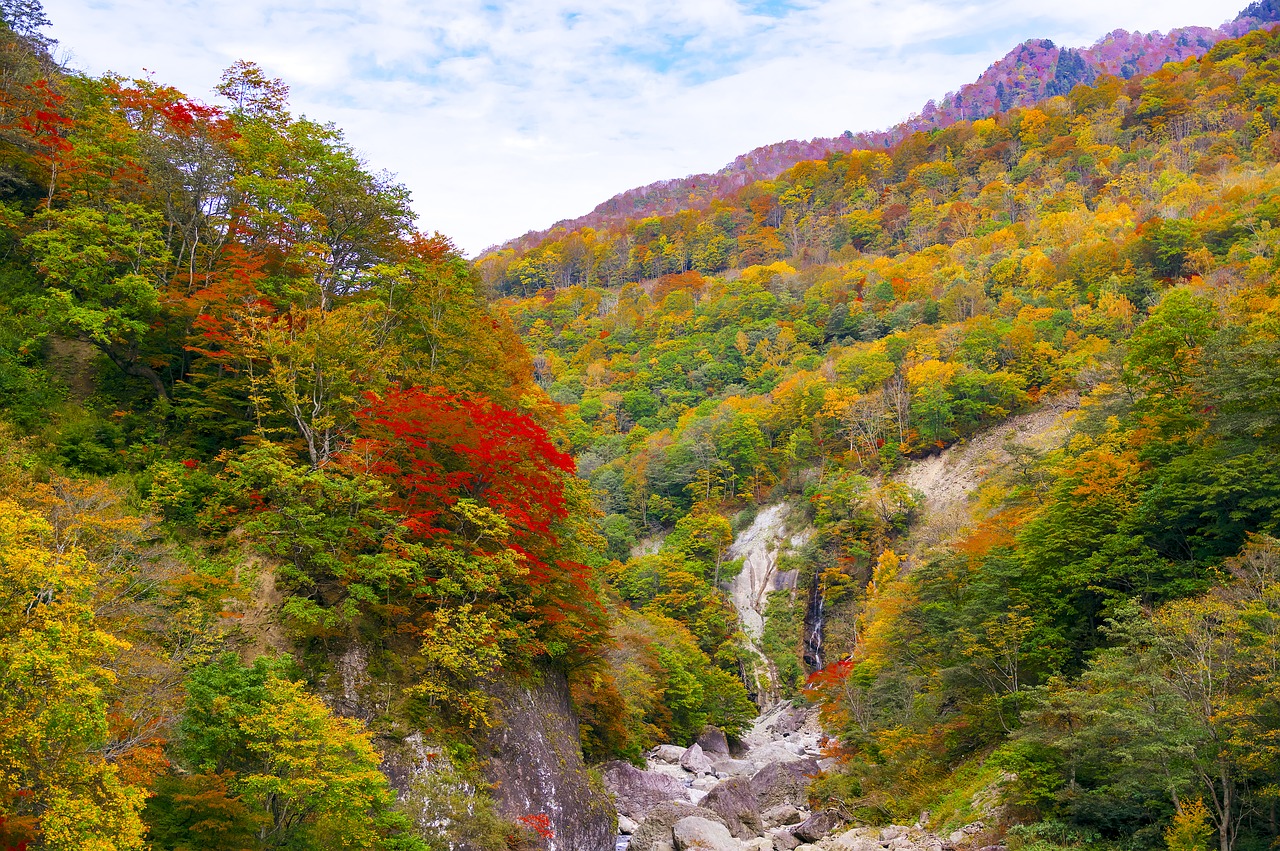 Lasik in Nagano Japan